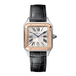 Часы Cartier Santos Dumont Small WSSA0023 060506