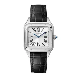 Часы Cartier Santos Dumont Small WSSA0023 060508