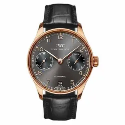 Часы IWC Portuguese 7 Days Automatic IW500106 050906