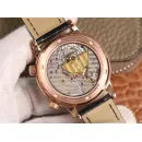 Часы Patek Philippe Celestial Sky Moon 040506