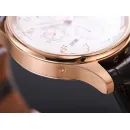 Часы IWC Portugieser Perpetual Calendar IW503302 051010