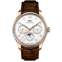 Часы IWC Portugieser Perpetual Calendar 42 IW344202 051023