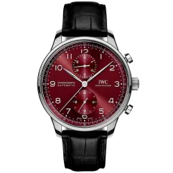 Часы IWC Portugieser Chronograph 41mm IW371616 051031