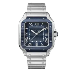 Часы Cartier Santos CRWSSA0048 060525
