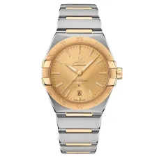 Часы Omega Constellation 131.20.39.20.08.001 290213